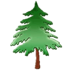 Pine Class Tree